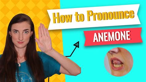 anemone pronunciation|how to pronounce laryngoscopy.